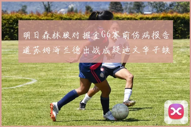 明日森林狼对掘金G6赛前伤病报告道苏姆海兰德出战成疑迪文华子缺阵