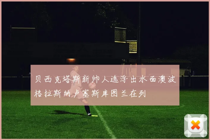 贝西克塔斯新帅人选浮出水面澳波格拉斯纳卢塞斯库图兰在列